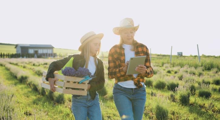 AKG: az első év zárása