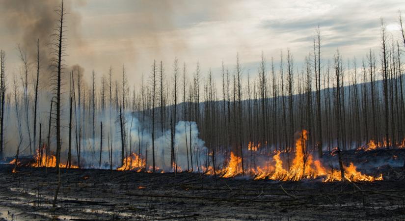 A fiskális alkoholizmus korában csak a jövőnkre nem jut már elég pénz