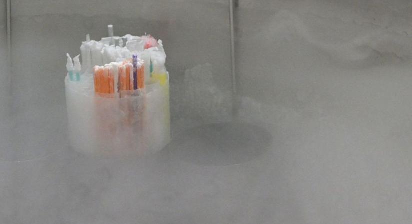 Magyarország szabad ország: felelősen eldönthetjük saját magunk, hogy köszönjük, nem kérünk az új lehetőségből