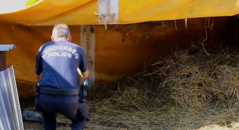 Egy éve ilyenkor: tizenöt évig élt istállóban a sárbogárdi rabszolga