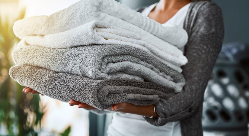 Soha ne akaszd ide a törölközőt - baktériumok melegágya lesz