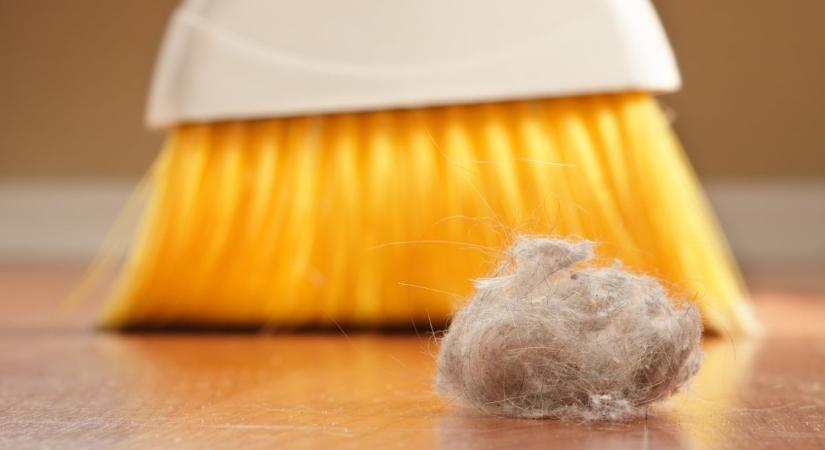 Amióta ezt a konyhai alapanyagot spricceli szét a parkettán és szegélyléceken, egyszerűen nem porosodik a szoba