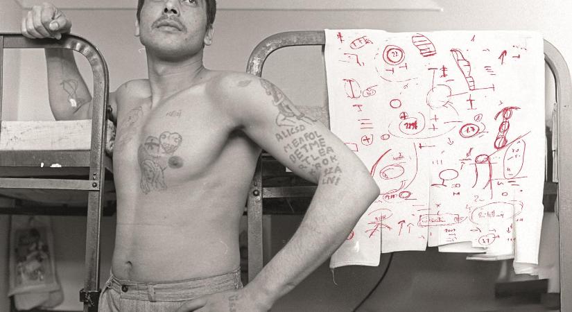 Heti abszurd: Egy formátum mind felett