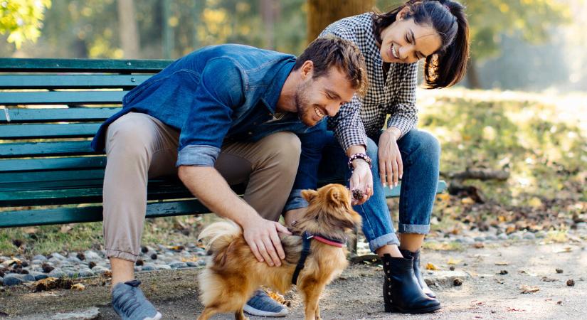 Kutyatartás és párkapcsolat: erősíti vagy rombolja a közös kedvenc a szerelmet?
