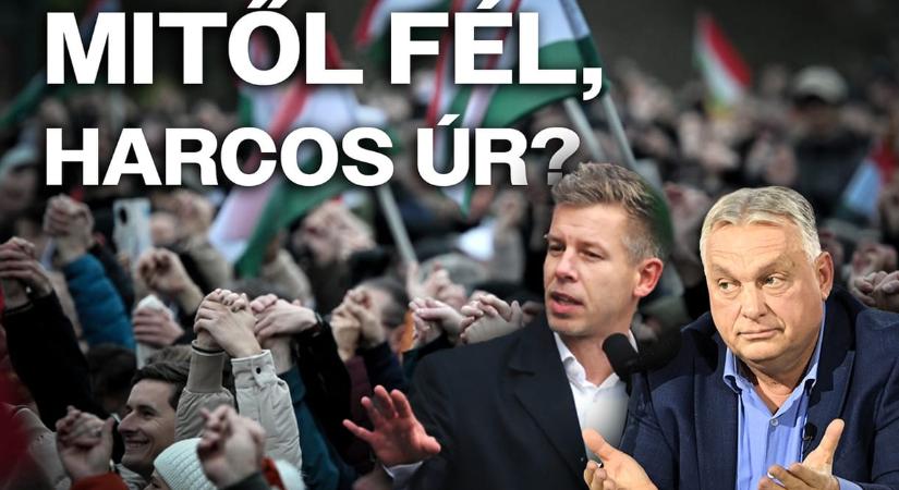 Meg tudja győzni a fideszes a tiszást? És fordítva? – videóriport Győrből, Orbán és Magyar országjárásáról