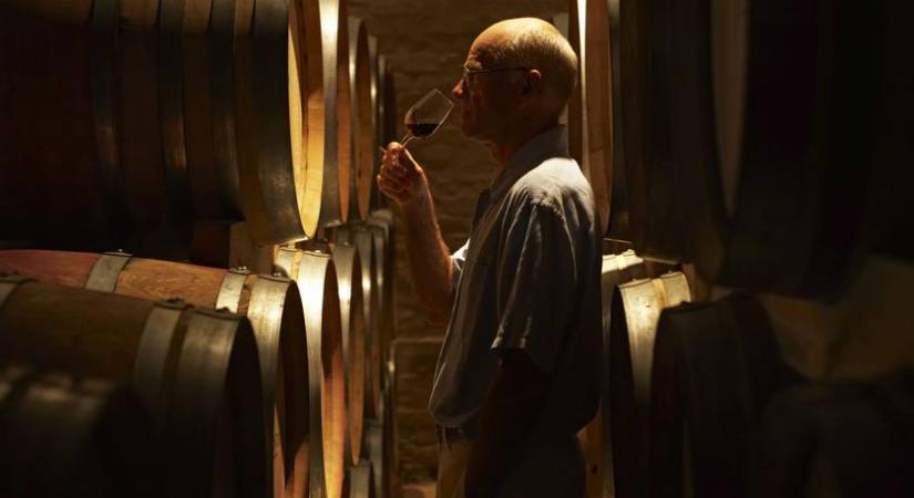 Milyen bor az Irsai Olivér? 7 kérdés a borokról, amit illik tudni