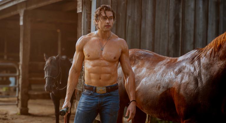 Mézes bödön a műsor neve, avagy kockahas Trey kalandja Hajnalkával