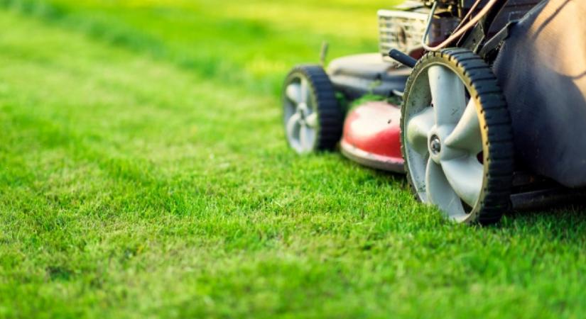 Innen tudhatod mikor kell az évben utoljára füvet nyírni