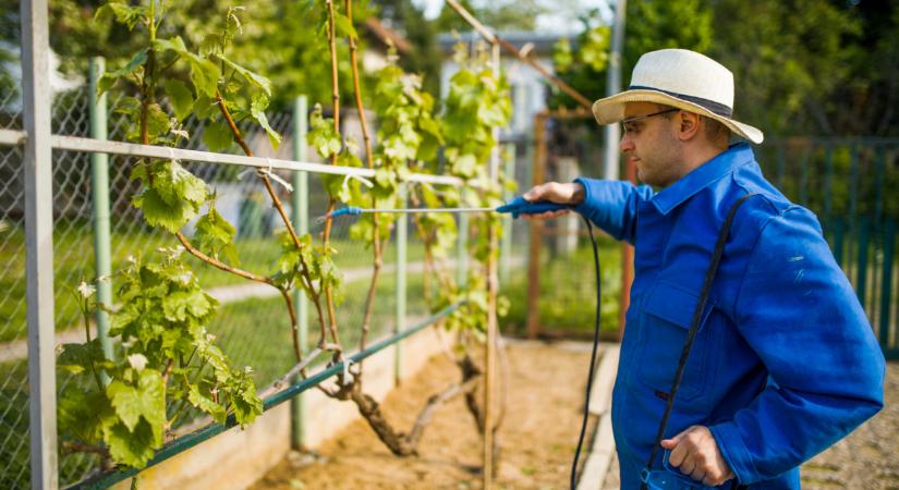 Megszólalt a szakértő: durván drágulhat ez a népszerű ingatlantípus