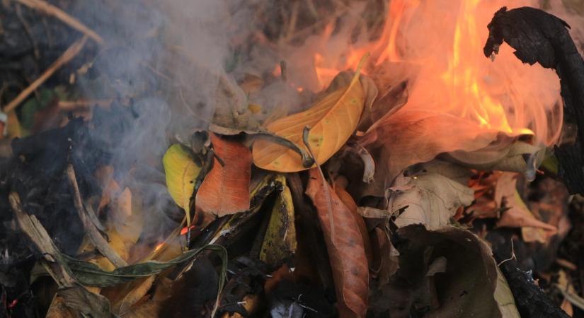 Tízszeres szennyezést okoz egyetlen avarkupac elégetése is