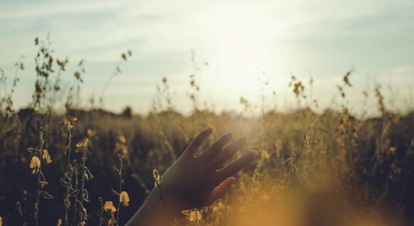 7 kérdés, ami eldöntheti, hogy az első randi a *kezdete* volt-e valami izgalmasnak?