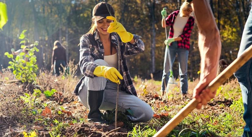Őszi kertápolás és faültetési tippek, hogy hatékonyan harcolhass a klímaváltozás ellen