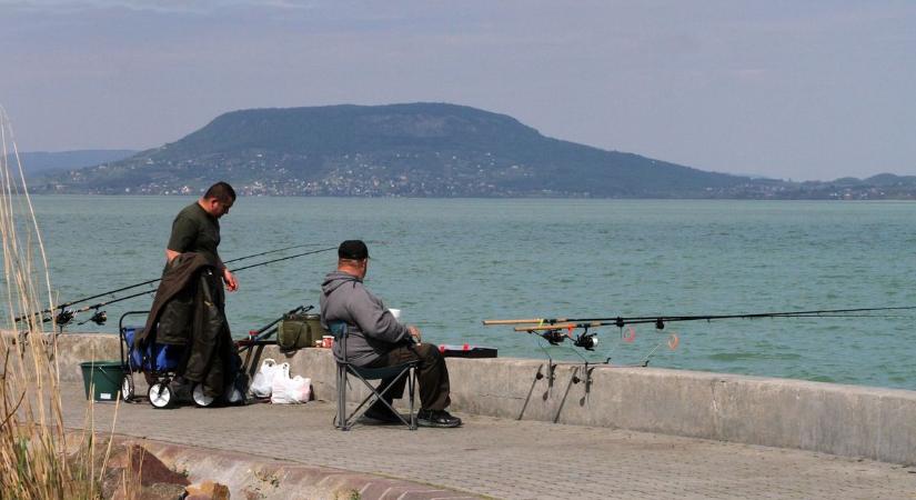 267 kilométer parthosszból már csak 50 maradt a balatoni horgászoknak