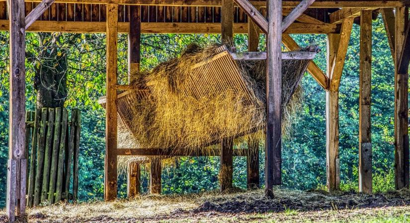 Ugrás az ismeretlenbe: így látják a 2027 utáni agrárpolitikát a természetvédők
