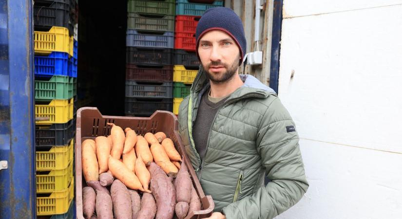 Imádják a magyarok ezt a csodagumót – Tolnában is egyre népszerűbb