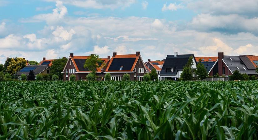 Hollandiában is túltolták a napelemet, a lakosság issza a levét