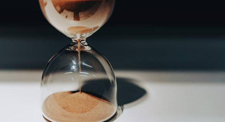 Megdöbbentő felfedezést tettek a kutatók: ezek az állatok érzékelik az időt