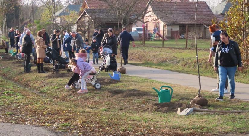 Csemete a csemetének: különleges hagyomány Derekegyházon – galériával