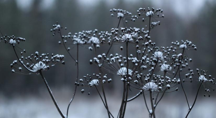 Heti horoszkóp: November 17 – november 23 közötti időszakra!