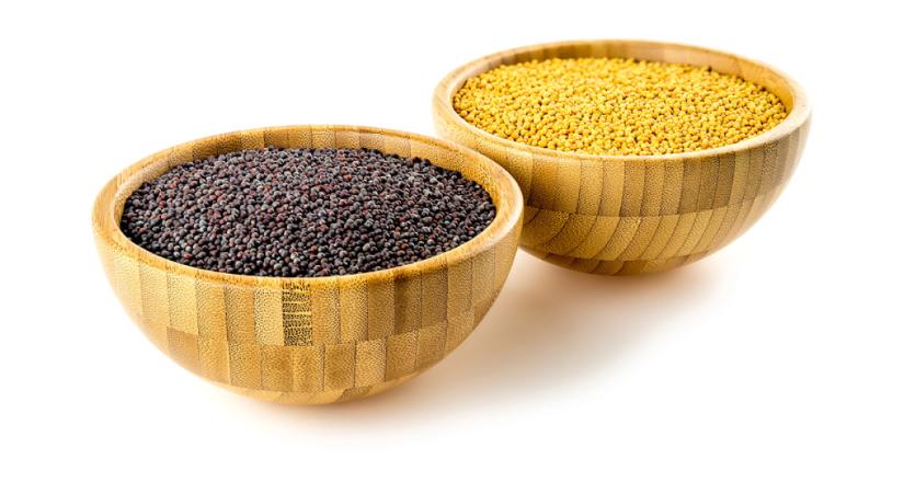 Amilyen mutatósak, annyira veszélyesek – ne vegyük meg őket