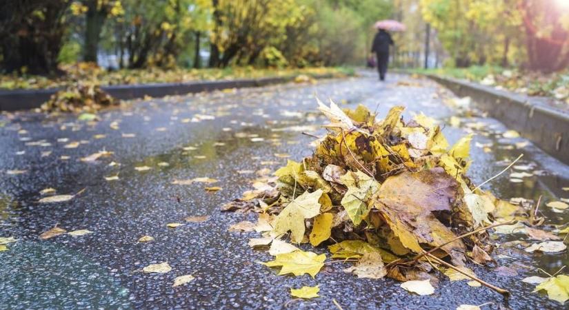 Holnap kopogtat az eső? Így alakul az időjárás Szegeden!