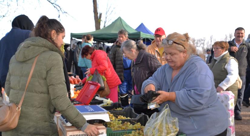 Dunaföldvári vásár: csak tevét nem lehet kapni, pedig keresték (galéria)