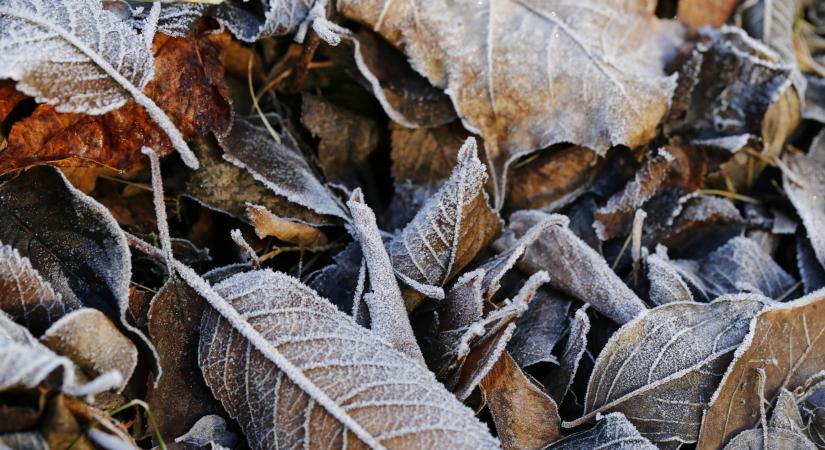 Heti szerelmi horoszkóp – 2025. november 17–23. – Mit súgnak a csillagok a romantikra terén?