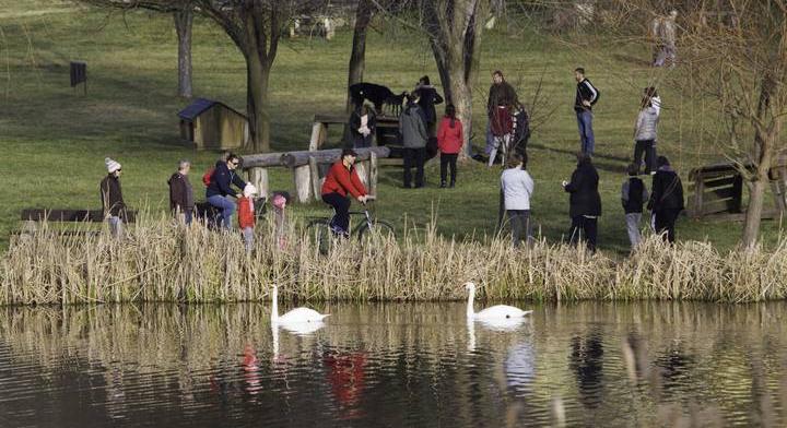 Ellepték az idegenhonos ragadozók a magyar tavat: így küzdenek ellenük a szakemberek