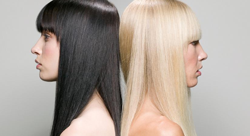 Csak golden retriever lehet a szőke, akinek esze is van?