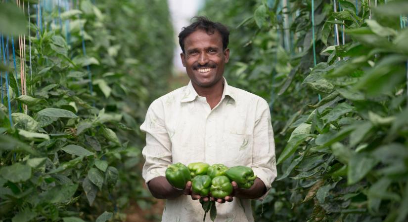 Meghátrált Trump, máris ünnepelnek a gazdák