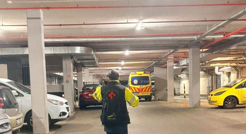 Nyilvánosságra hozták a főorvosnő keresésének részleteit