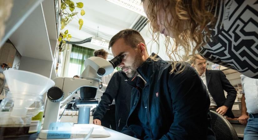 Szegedi muslicák az űrben: így kutatják a DNS túlélését a kozmikus sugárzásban