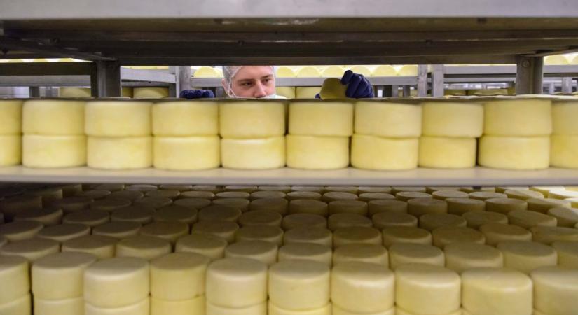 Üvegdarabok lehetnek a sajtban, visszahívja termékeit a gyártó