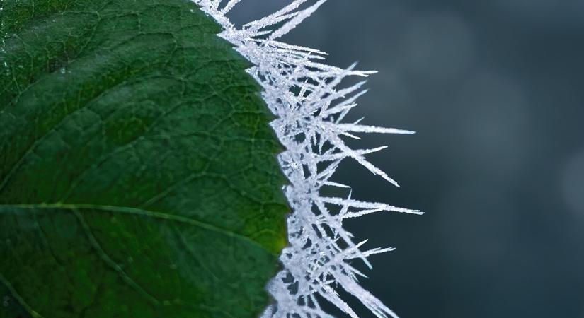 Észrevétlenül csúszunk bele a télbe a következő napokban