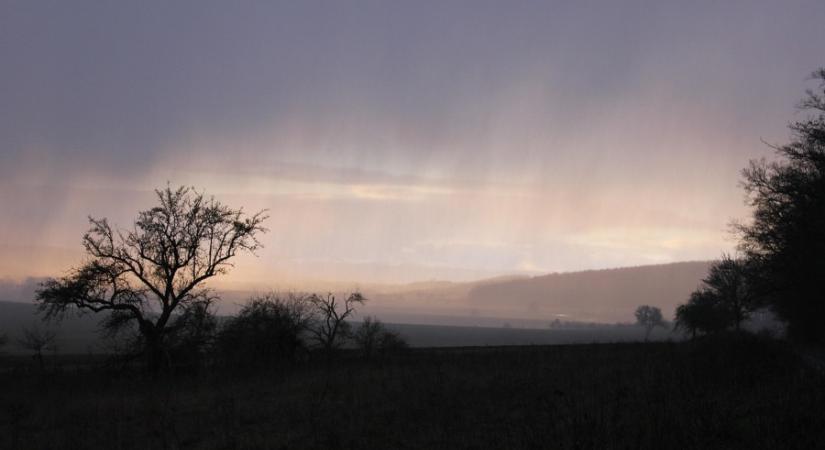 Használjuk ki gyorsan, mert tiszavirág életű lesz a novemberi tavasz