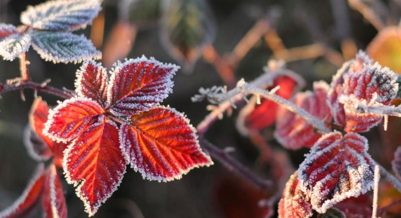 Hétfő estére megérkezik a hidegfront