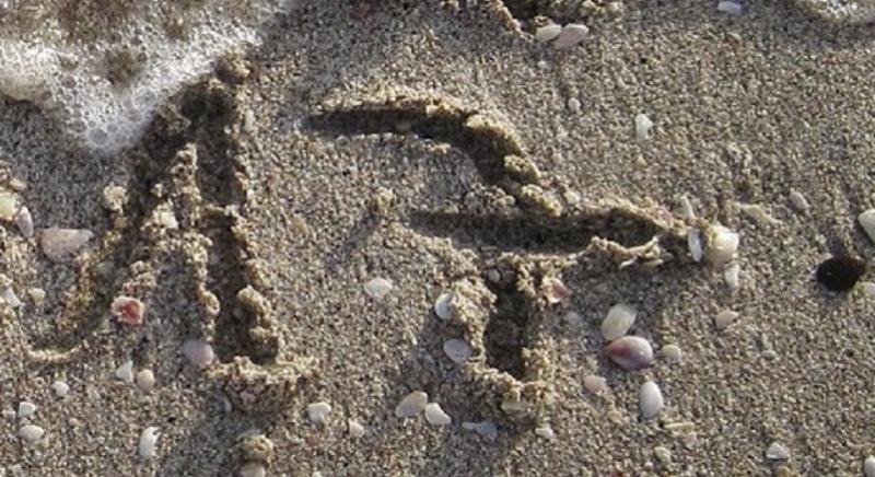 2025. november 17. – Információk, hírek vállalkozóknak