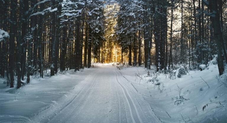 Eljött a negyedik fordulat? A történelem ismétli önmagát, és magával hozza a válságot is