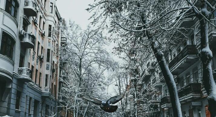 A Claudia vihar után jön az igazi tél – Brutális sarkvidéki hideg tör be Európába