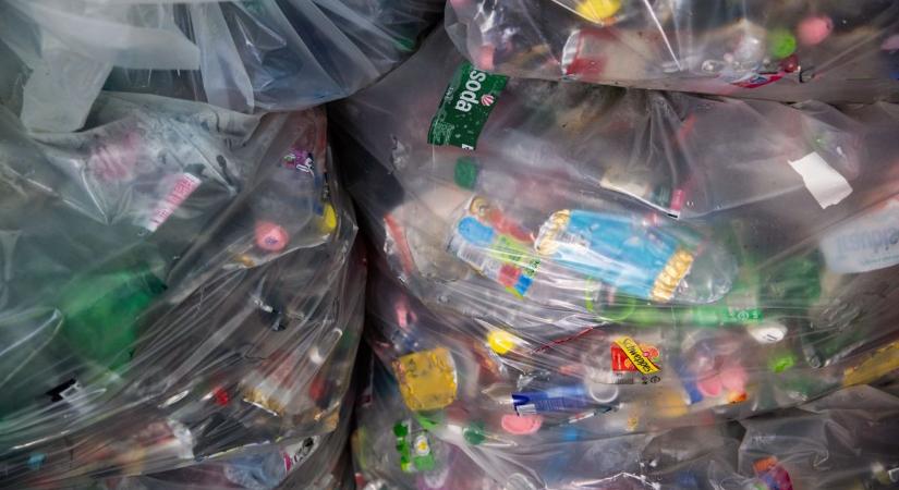 Ne egyél műanyagot! Bár valószínűleg már késő