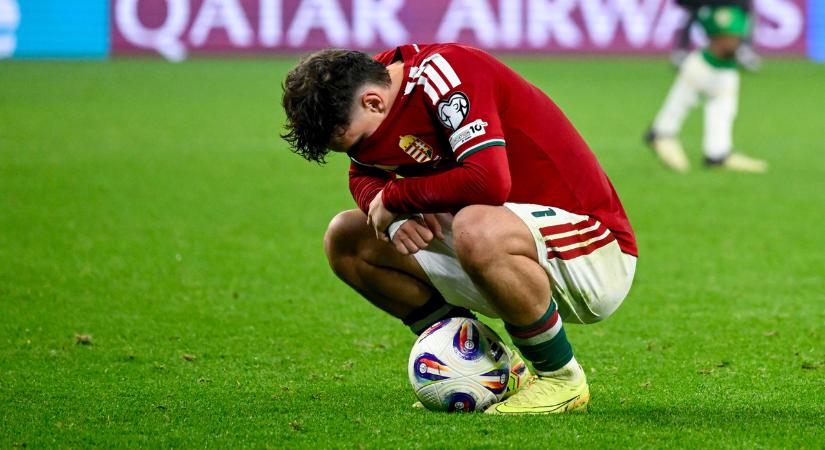 Csányi Sándor kisírt szemekkel nyilatkozott az írek elleni vereség után