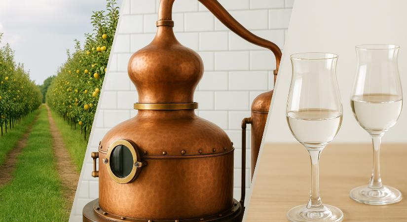 Gombosi Pálinkafőző szakmai napja: tapasztalatcsere és technológiai fejlődés a hazai pálinkaiparban