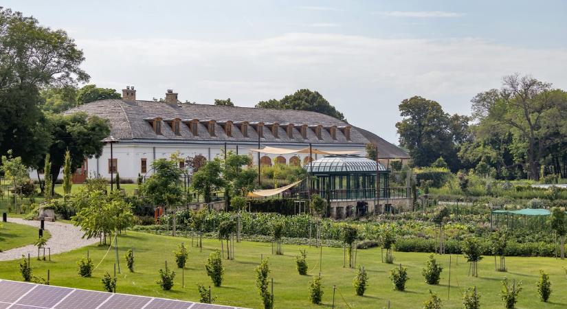 Hadházy: Tiborcz István cége üzemelteti Hatvanpusztát