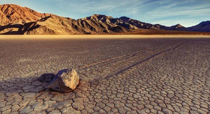 Embertelen forróságban érzi igazán jól magát ez a növény: még virágzik is
