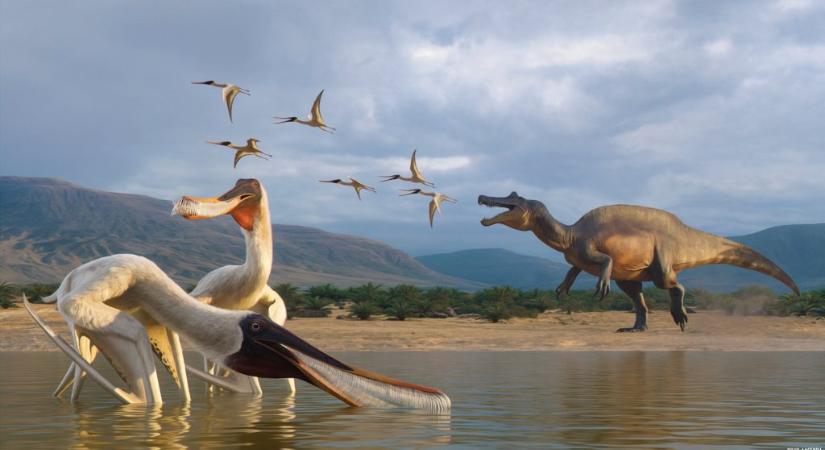 Ősi állatfajt fedeztek fel egy megkövesedett hányásban