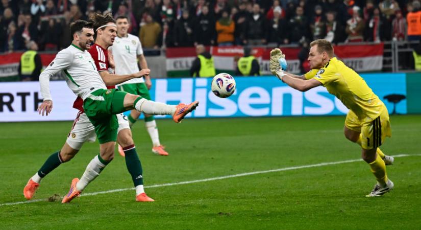 Megőrültek a szurkolók, amikor kiderült, pótselejzetőt játszhatnak (videó)