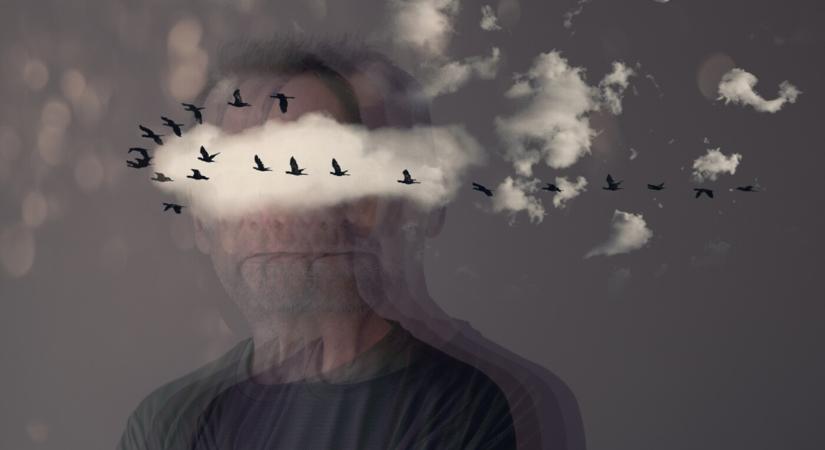 Ladányi István: Az átfoglalásokról