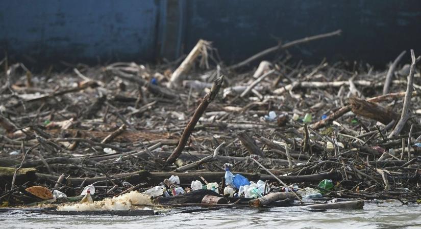 Tízmilliót "vasazott" össze a nő illegálisan