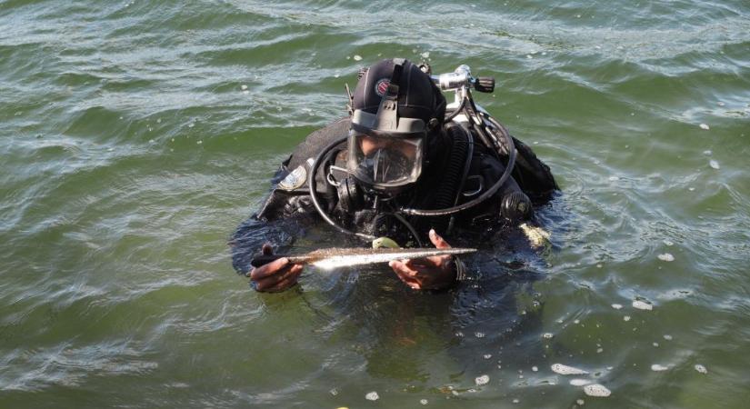 Középkori fegyvereket emeltek ki egy tó mélyéről