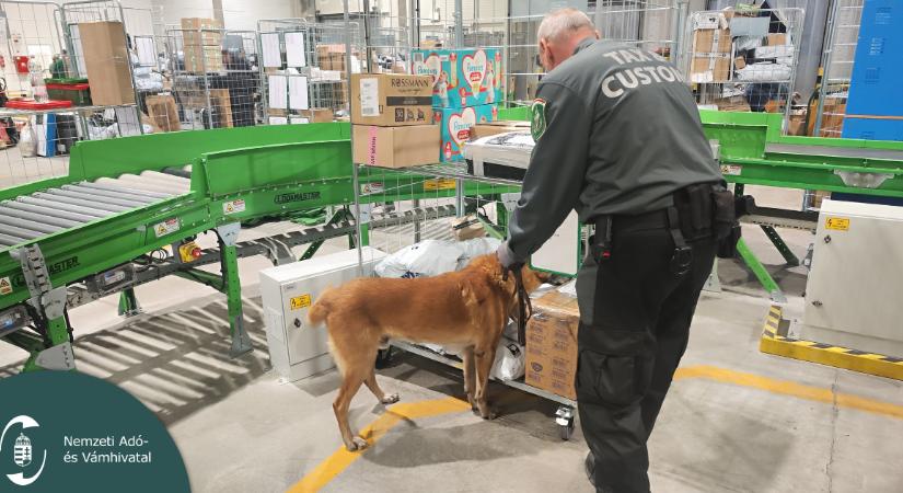 A postai küldeményeket is vizsgálja a NAV